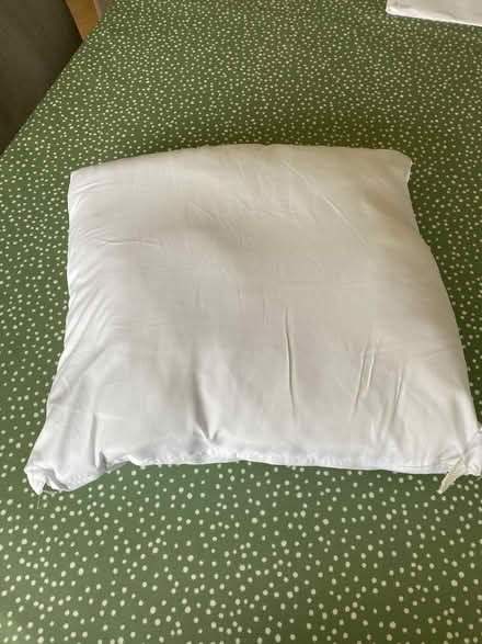 Photo of free Cushion inner (Street BA16) #1