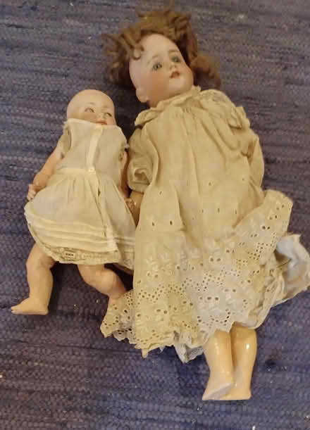 Photo of free Dolls (Nepean) #1