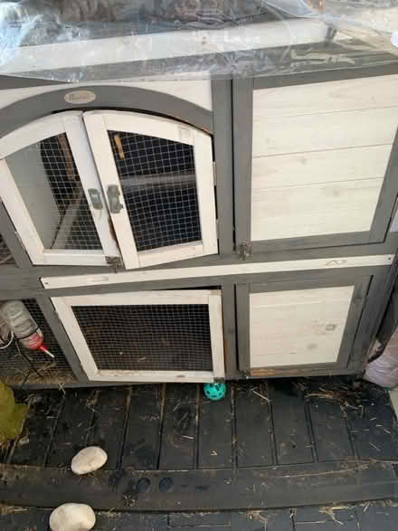Photo of free Rabbit hutch (SG1) #1