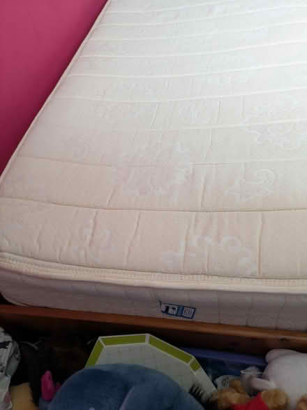 Photo of free Single Bed- Pine (SS9) #3