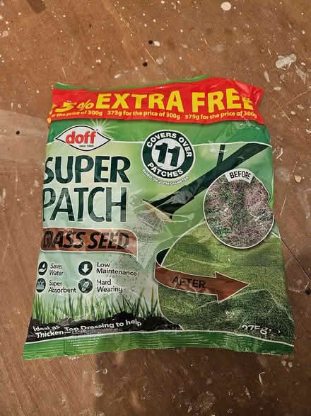 Photo of free Grass Seeds (Hilltown DD1) #1