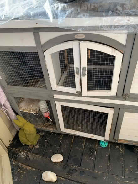 Photo of free Rabbit hutch (SG1) #3