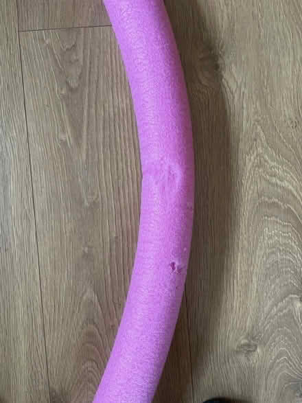 Photo of free Pool noodle (Tuplin Park TQ12) #2