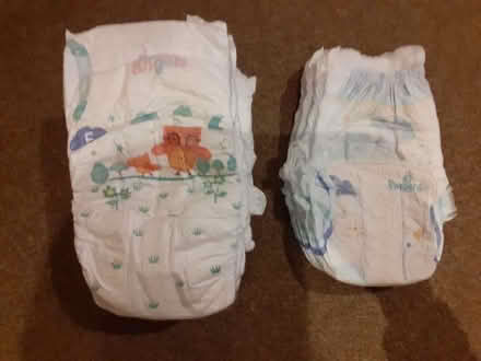 Photo of free Nappies (Panshanger AL7) #1