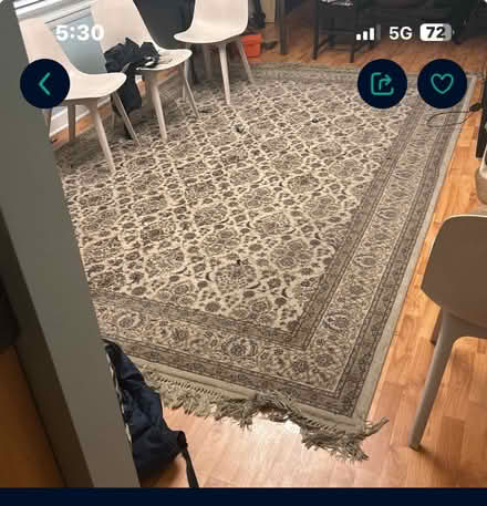 Photo of free Area rug (La grange il) #1