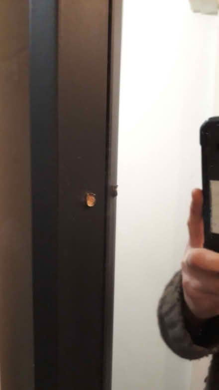 Photo of free Large mirror (Digbeth B5) #2