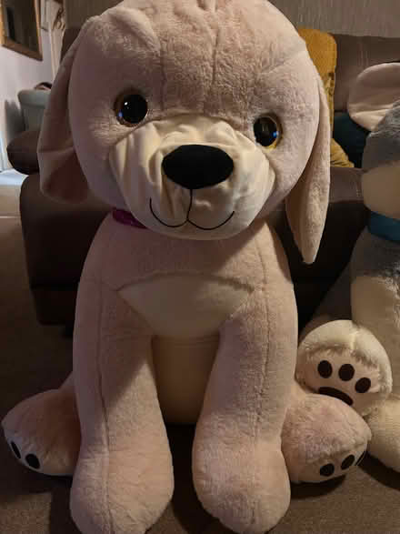 Photo of free Large Soft Toys, Great Condition (Drumsill BT28) #1