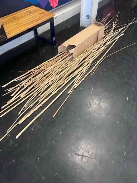 Photo of free Bamboo canes (Dronfield S18) #1
