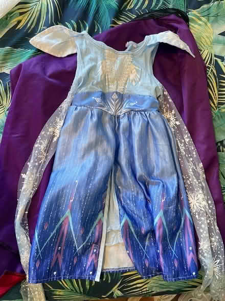 Photo of free Toddler girls dress up: 2-3 yrs (Leytonstone E11) #1