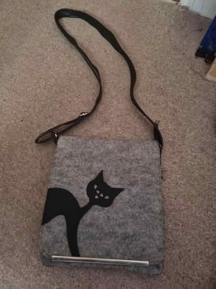 Photo of free Cat satchel bag (Abraham Heights LA1) #1
