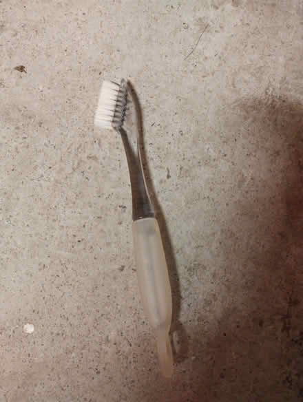 Photo of free Grout Cleaning Brush (Leyland PR25) #1