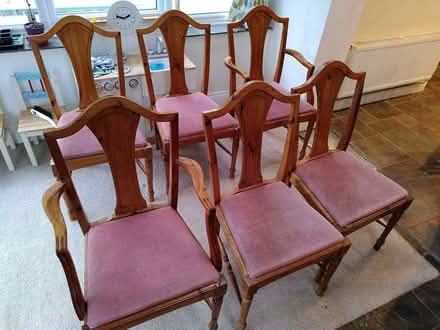 Photo of free Set of 6 pine dining chairs (West Oxfordshire OX28) #1