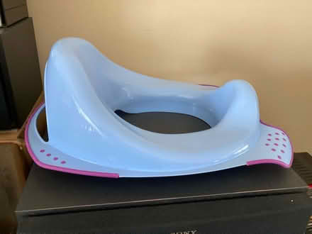 Photo of free Potty Seat (Darien (Darien (75th St/west of Cass)) #1