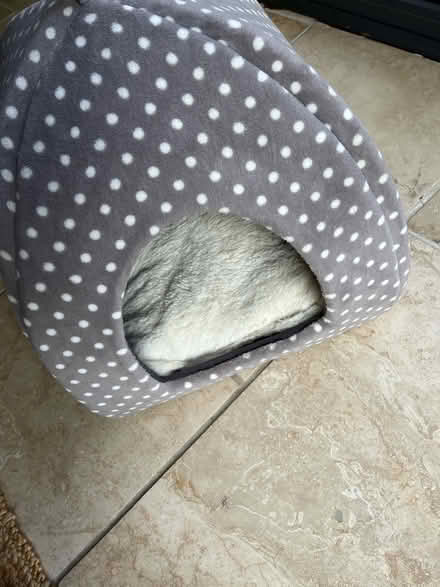 Photo of free Cat bed (Blewbury) #2