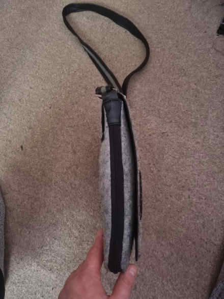 Photo of free Cat satchel bag (Abraham Heights LA1) #2