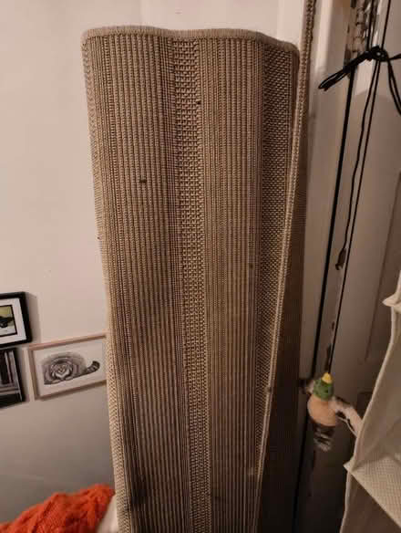 Photo of free 2 large rugs (New York NE29) #1