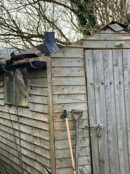 Photo of free Garden shed (Pentre Broughton) #1