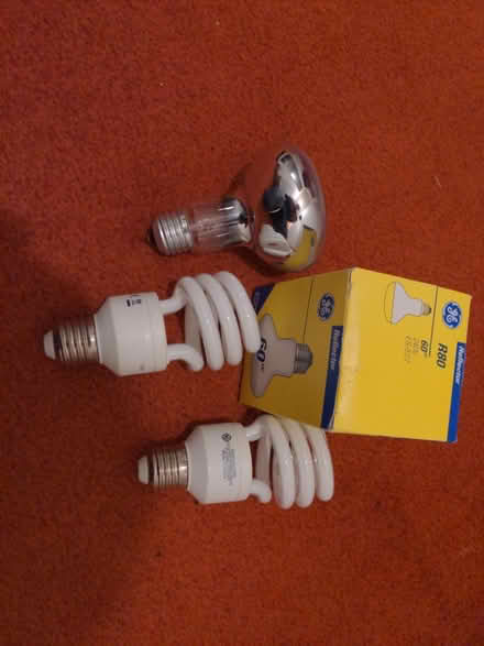 Photo of free 4 light bulbs (BA2) #1