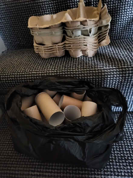 Photo of free Loo roll tubes & egg boxes (Upton CH49) #1