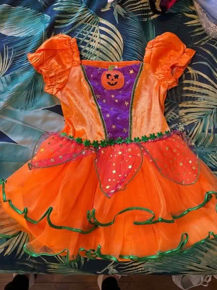 Photo of free Toddler girls dress up: 2-3 yrs (Leytonstone E11) #3