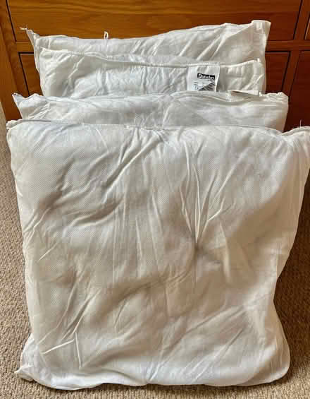 Photo of free Cushion Inners / Inserts x 6 (Corner Hall HP2) #3