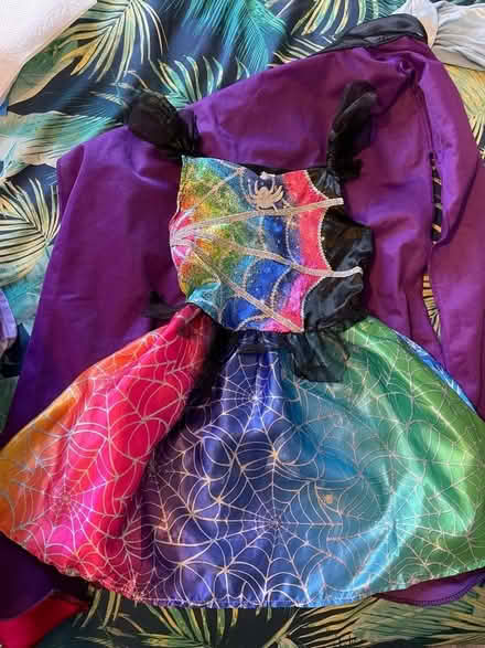 Photo of free Toddler girls dress up: 2-3 yrs (Leytonstone E11) #2