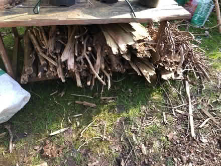 Photo of free Wood for kindling (South Malling BN7) #1