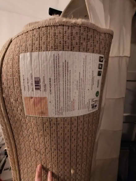 Photo of free 2 large rugs (New York NE29) #3