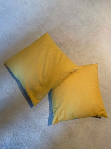 Photo of free 2 yellow cushions (East Dulwich SE22) #1