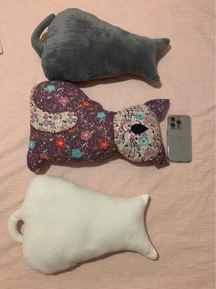 Photo of free Cushions (Crook DL15) #1