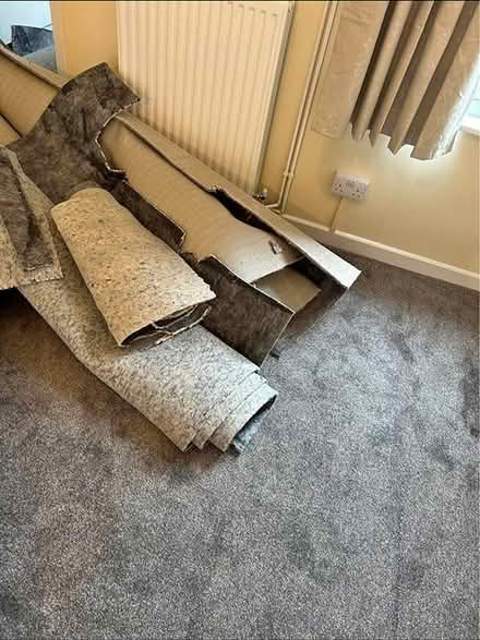 Photo of free Grey new carpet (UB5) #2