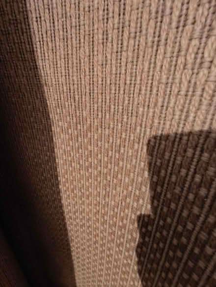 Photo of free 2 large rugs (New York NE29) #4