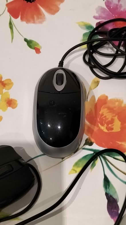 Photo of free Keyboard & Mouse (Belfast BT11) #2