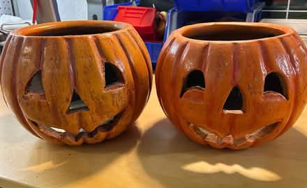 Photo of free Halloween Jack‘o Lanterns (Central Menlo Park) #1
