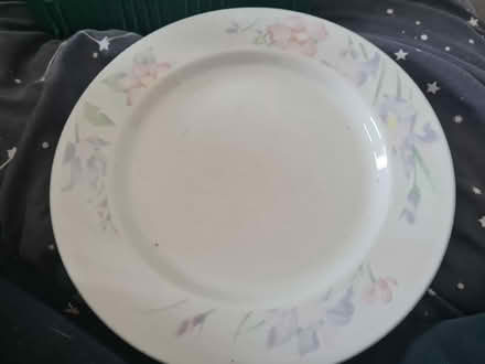Photo of free 6 dinner plates (Peopleton WR10) #1