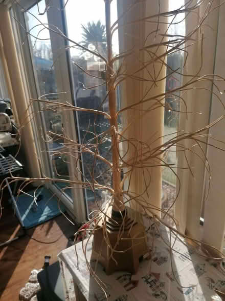 Photo of free Fibre Optic Tree (CT12) #1