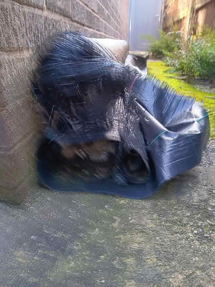 Photo of free Two rolls horticultural weed membrane (Market Deeping CP) #2