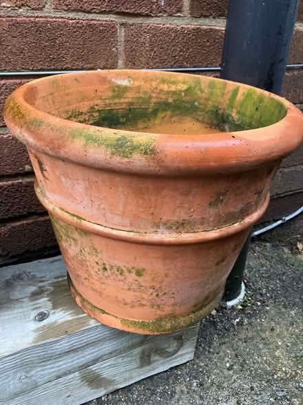 Photo of free Plant pot (Shelton Lock DE73) #1