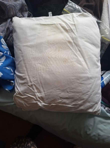 Photo of free Cushion inside (GL51) #1
