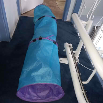 Photo of free long cat tunnel (Sopwell AL1) #1