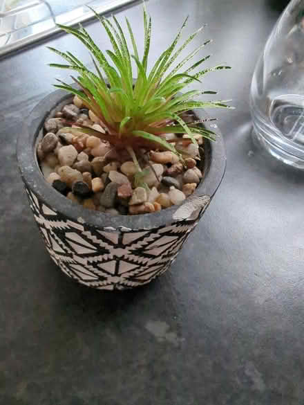Photo of free Small plastic plant and pot (West Norwood SE27) #2