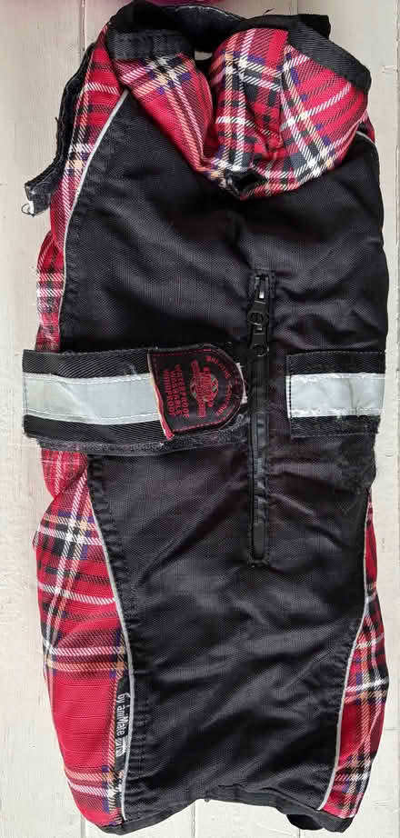 Photo of free Pink Dog Harness & Coat (Eastbourne BN23) #1