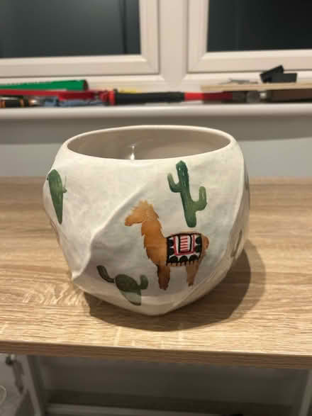 Photo of free Indoor plant pot (W7) #1
