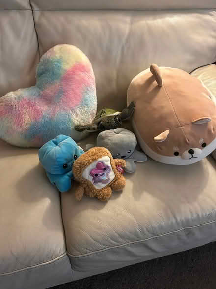 Photo of free Cuddly toys (Knaresborough HG5) #1