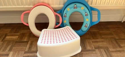 Photo of free Kids toilet seats and step (North Moreton OX11) #1