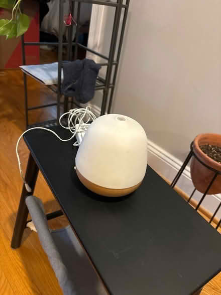 Photo of free Small diffuser (Eckington) #1