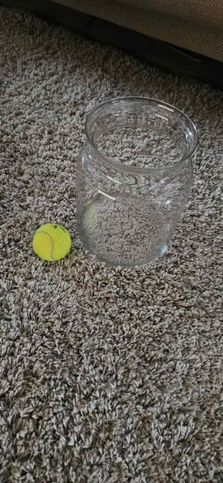 Photo of free vase (tw7 7ew) #1