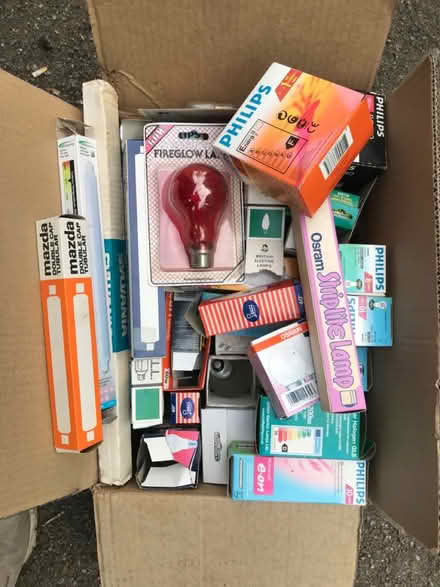 Photo of free Light bulbs (Shepherds Bush) #1
