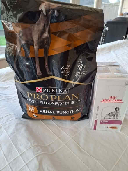 Photo of free Dog Food for Renal Condition (CT9) #1