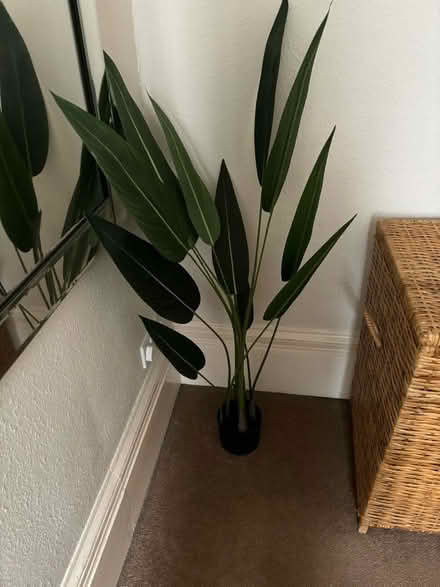 Photo of free Artificial plant (Leckhampton GL53) #1